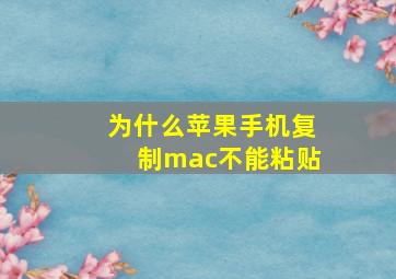 为什么苹果手机复制mac不能粘贴