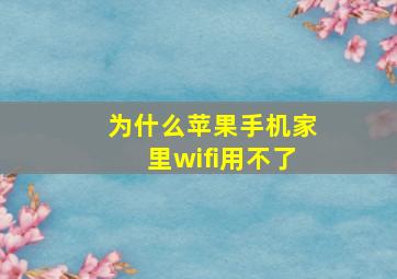 为什么苹果手机家里wifi用不了