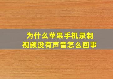 为什么苹果手机录制视频没有声音怎么回事