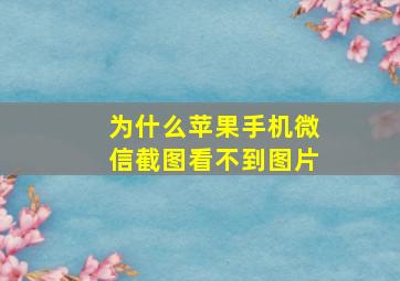 为什么苹果手机微信截图看不到图片