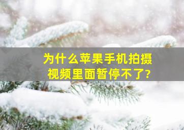 为什么苹果手机拍摄视频里面暂停不了?