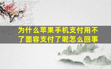 为什么苹果手机支付用不了面容支付了呢怎么回事