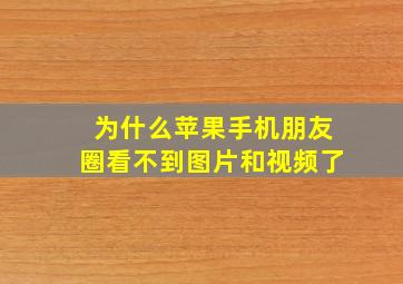 为什么苹果手机朋友圈看不到图片和视频了