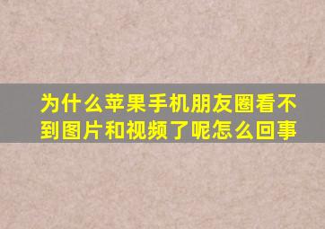 为什么苹果手机朋友圈看不到图片和视频了呢怎么回事