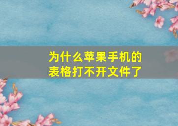 为什么苹果手机的表格打不开文件了