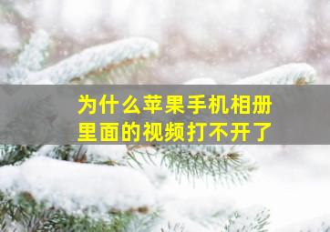 为什么苹果手机相册里面的视频打不开了