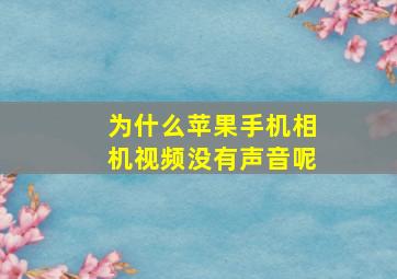 为什么苹果手机相机视频没有声音呢