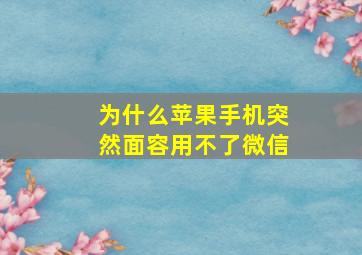 为什么苹果手机突然面容用不了微信