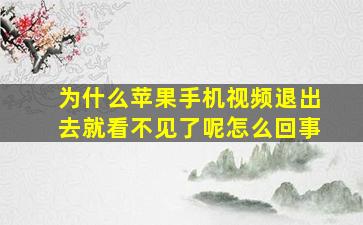 为什么苹果手机视频退出去就看不见了呢怎么回事