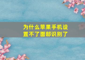 为什么苹果手机设置不了面部识别了