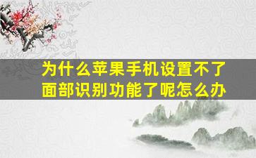 为什么苹果手机设置不了面部识别功能了呢怎么办