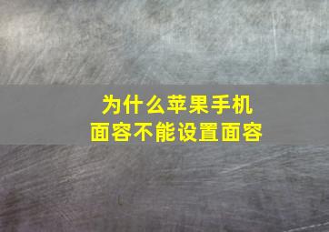 为什么苹果手机面容不能设置面容