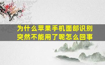 为什么苹果手机面部识别突然不能用了呢怎么回事