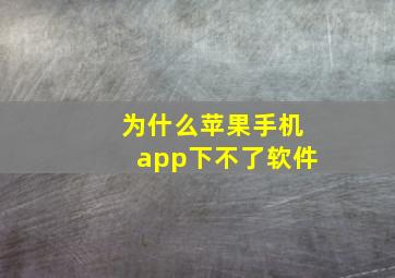 为什么苹果手机app下不了软件