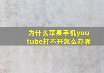 为什么苹果手机youtube打不开怎么办呢