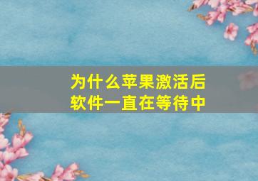 为什么苹果激活后软件一直在等待中