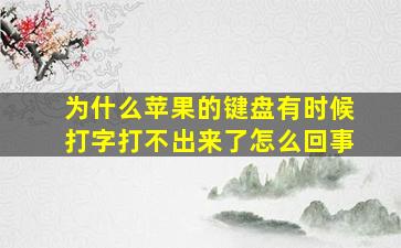 为什么苹果的键盘有时候打字打不出来了怎么回事