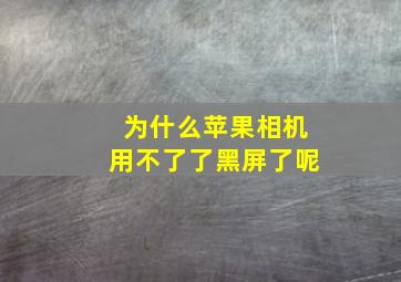 为什么苹果相机用不了了黑屏了呢