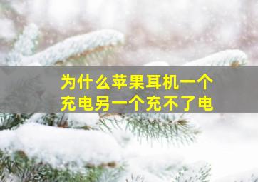 为什么苹果耳机一个充电另一个充不了电