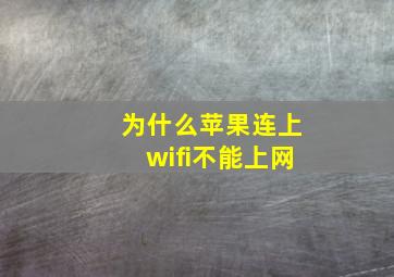 为什么苹果连上wifi不能上网