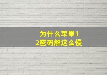 为什么苹果12密码解这么慢