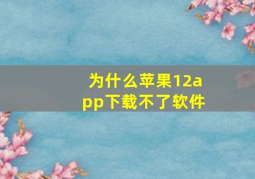 为什么苹果12app下载不了软件