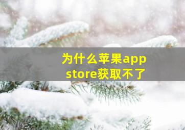 为什么苹果app store获取不了