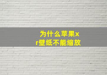 为什么苹果xr壁纸不能缩放