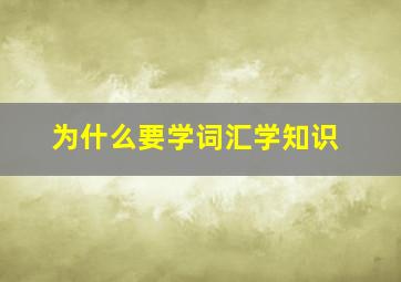 为什么要学词汇学知识