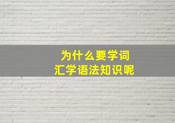 为什么要学词汇学语法知识呢