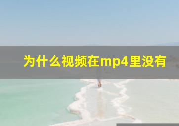 为什么视频在mp4里没有