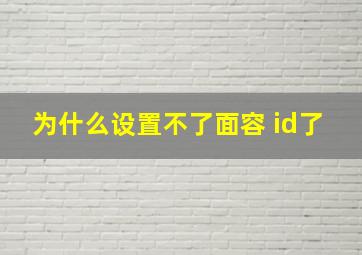 为什么设置不了面容 id了