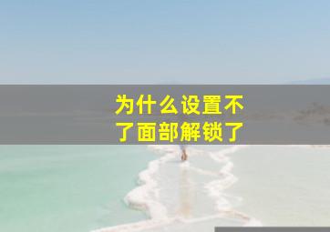 为什么设置不了面部解锁了