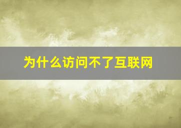 为什么访问不了互联网