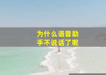 为什么语音助手不说话了呢