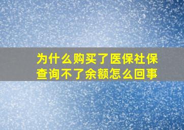 为什么购买了医保社保查询不了余额怎么回事