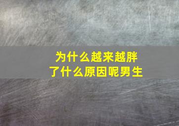 为什么越来越胖了什么原因呢男生