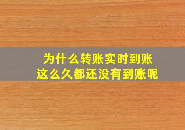 为什么转账实时到账这么久都还没有到账呢