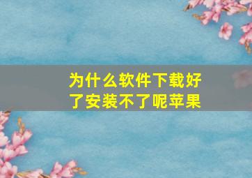 为什么软件下载好了安装不了呢苹果