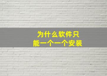 为什么软件只能一个一个安装