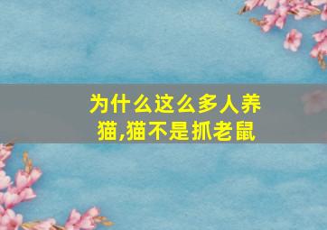 为什么这么多人养猫,猫不是抓老鼠