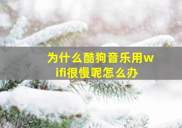 为什么酷狗音乐用wifi很慢呢怎么办