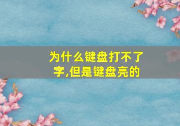 为什么键盘打不了字,但是键盘亮的