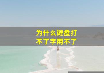 为什么键盘打不了字用不了