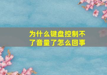 为什么键盘控制不了音量了怎么回事