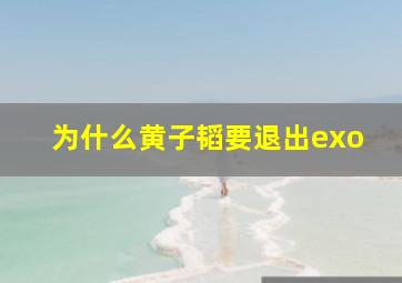 为什么黄子韬要退出exo