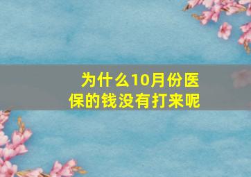 为什么10月份医保的钱没有打来呢