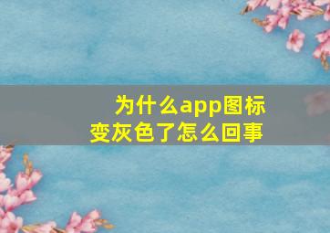 为什么app图标变灰色了怎么回事