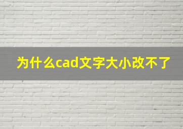 为什么cad文字大小改不了