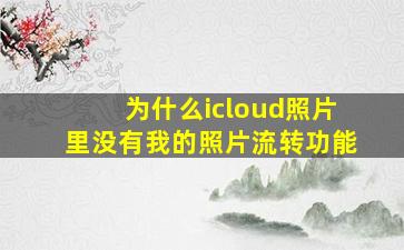 为什么icloud照片里没有我的照片流转功能